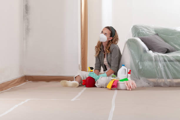 Reliable Mold Remediation contractor in Bedminster, NJ by Cheap Mold Removal